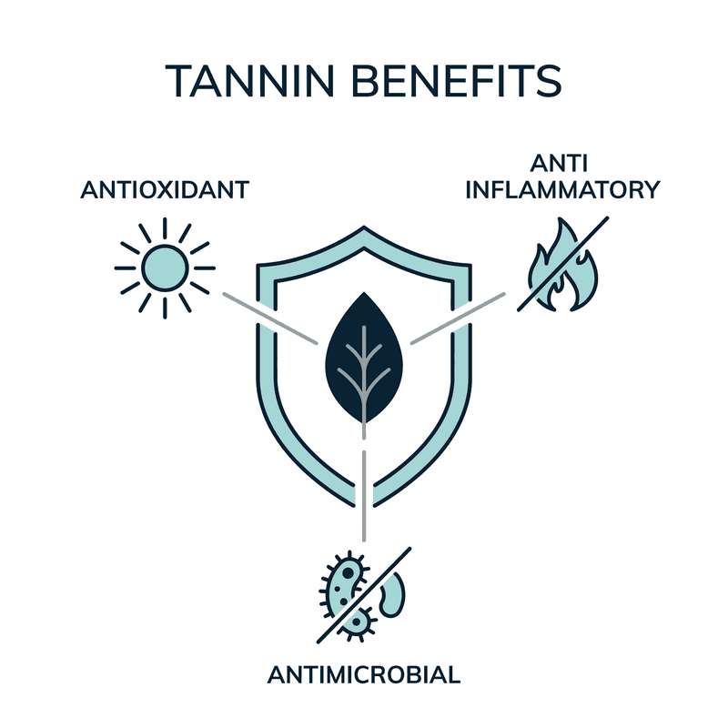 Shield and leaf diagram showing tannin benefits: antioxidant, anti-inflammatory, and antimicrobial properties.
